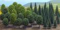 Busch Forêt de feuillus 50 arbres
